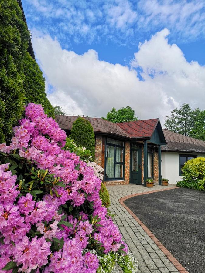 Villa Cyprianowka à Warszowice Extérieur photo