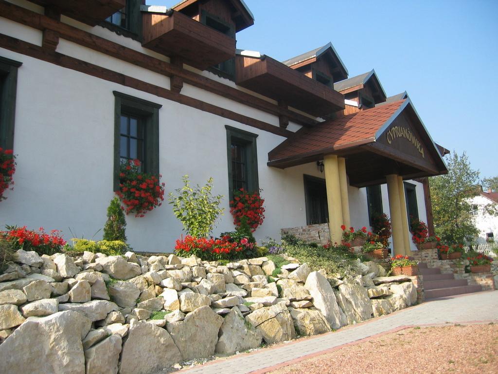 Villa Cyprianowka à Warszowice Extérieur photo